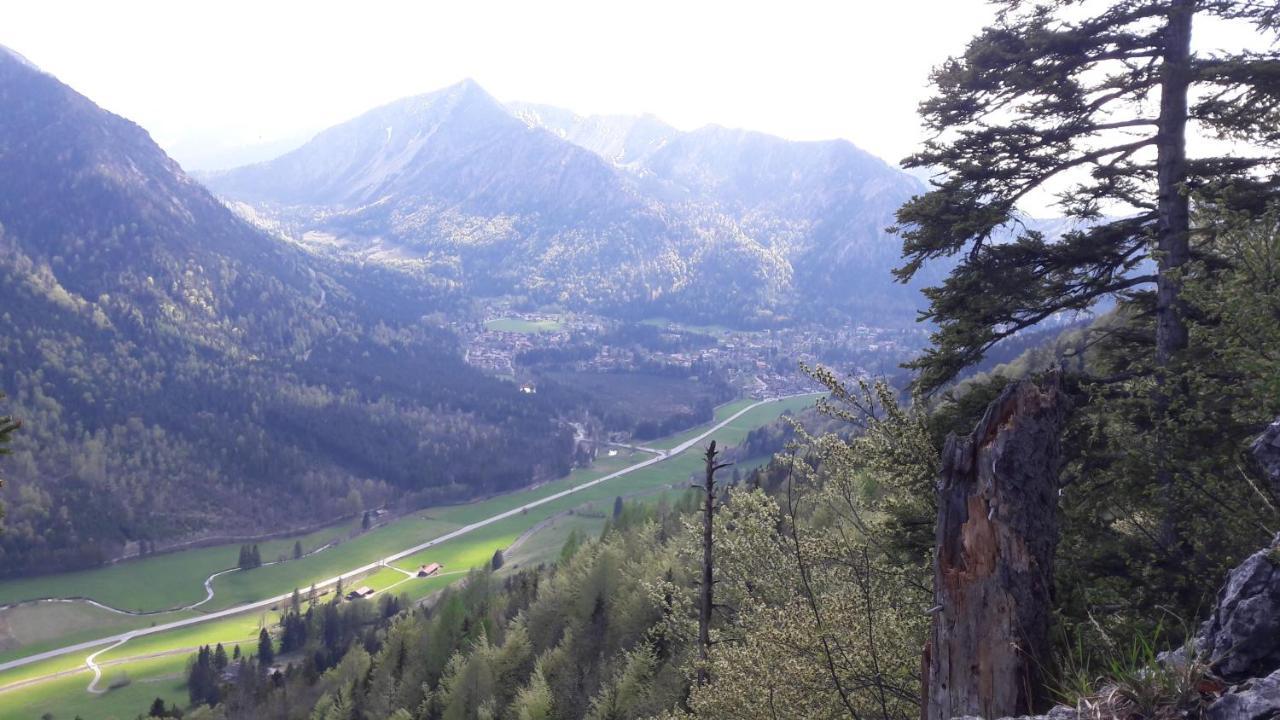 Haus-Brecherspitzblick 施利尔塞 外观 照片
